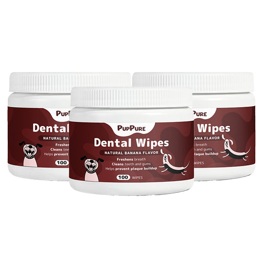 Dental Wipes